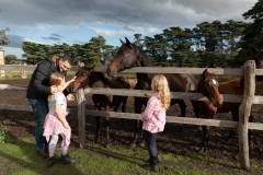 There are many Mums and babies that you may meet