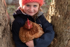 Chickens