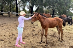 Friendandhorse2